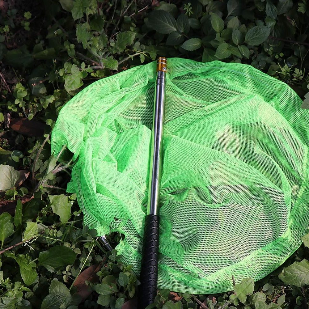 RESTCLOUD Bait Net and Fishing Landing Net with Telescoping Pole Handle Extends to 59 inches - Image 6